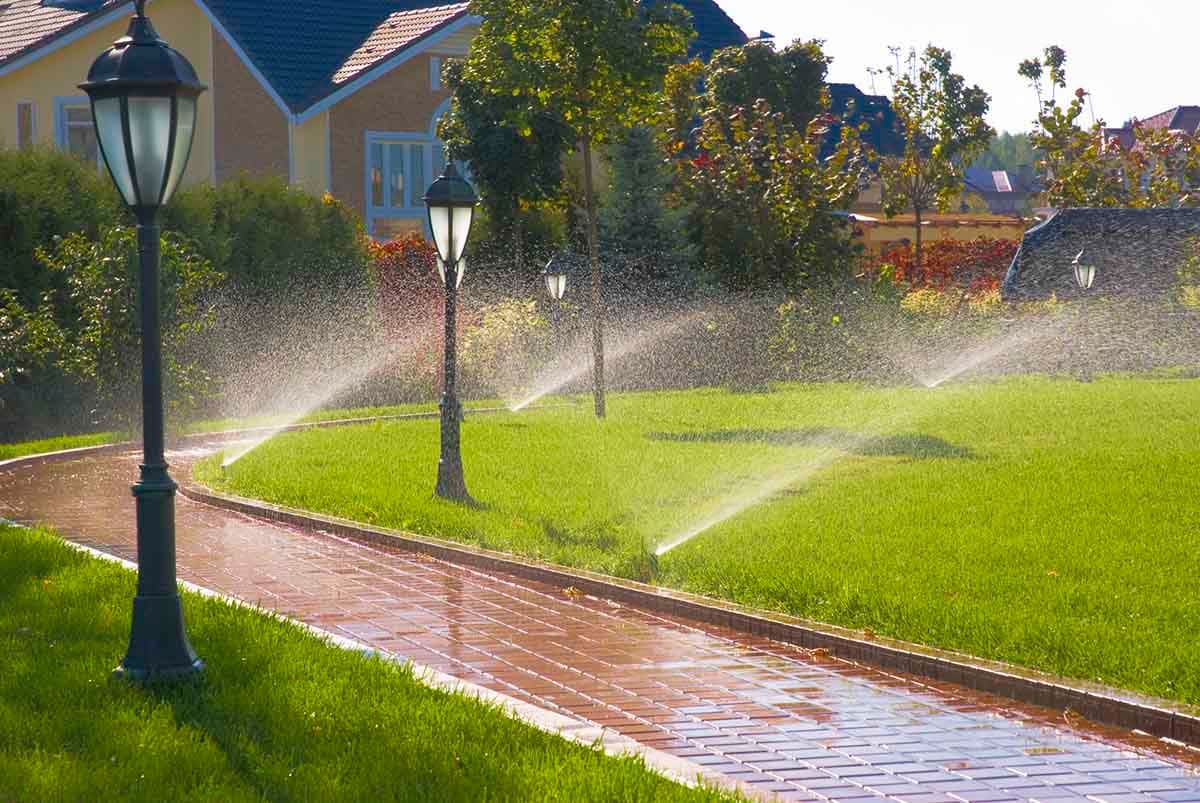 Irrigation System Installation in Palmyra