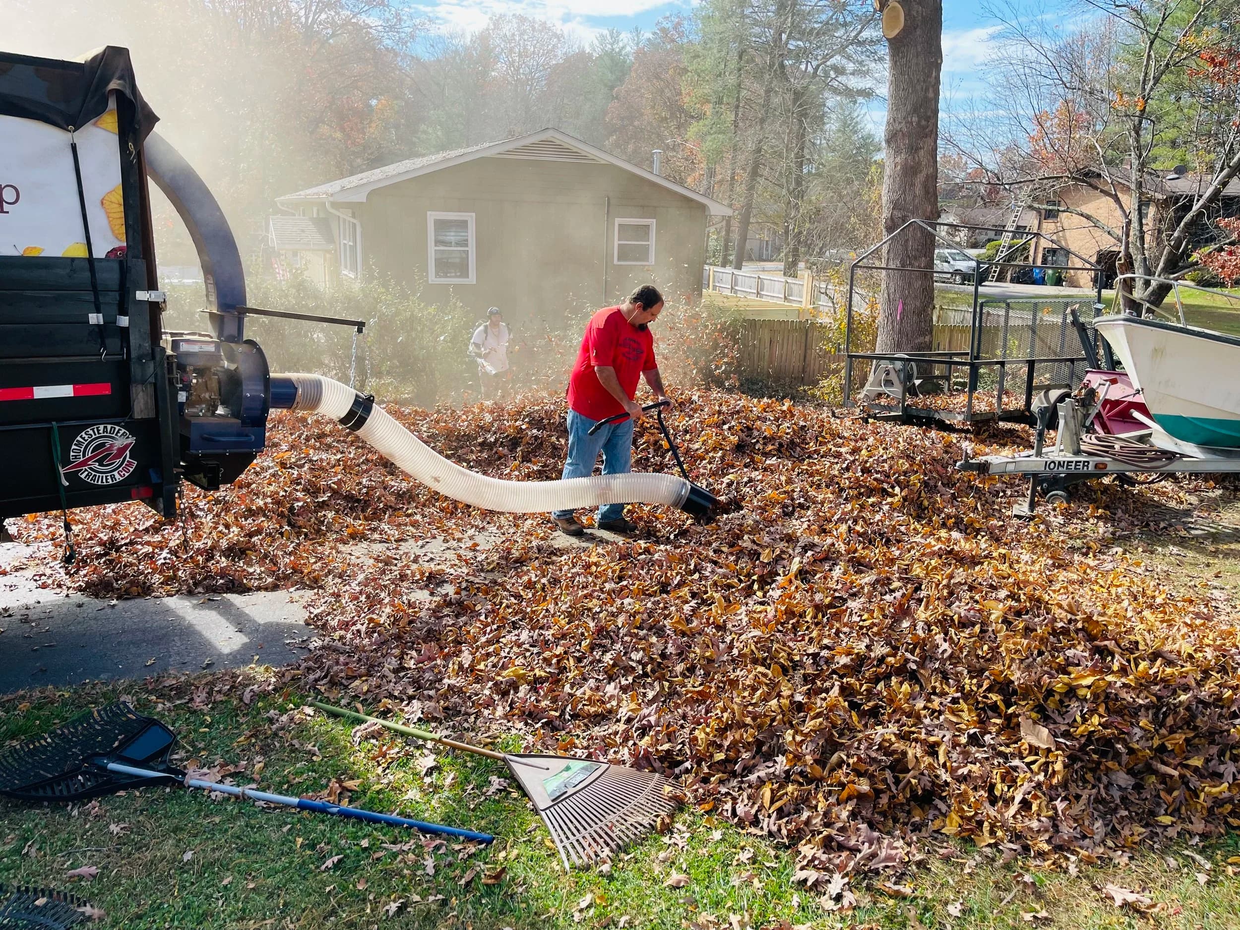 Leaf Removal in Palmyra