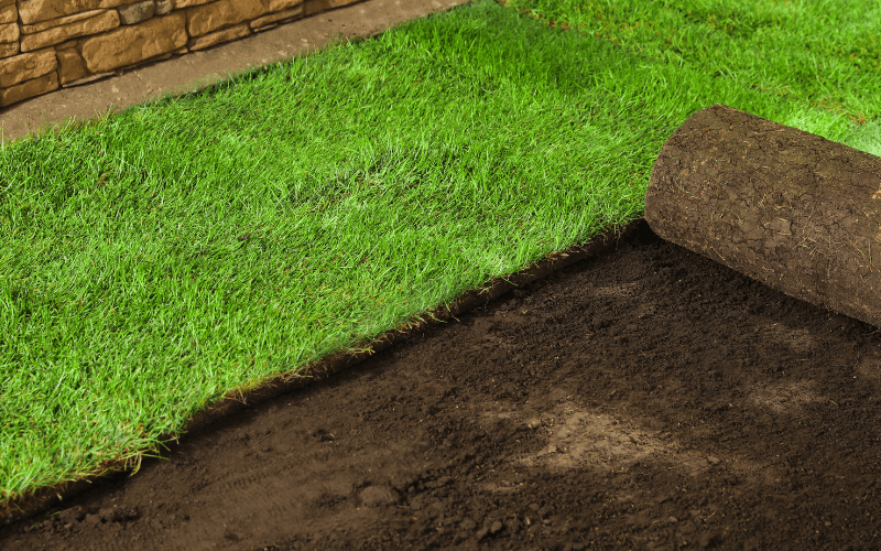 Sod Installation Services in Palmyra, PA